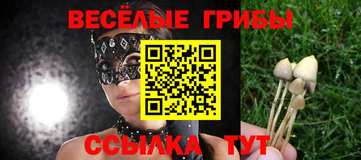 Комсомольск-на-Амуре  Псилоцибиновые грибы мицелий  Вход с VPN 