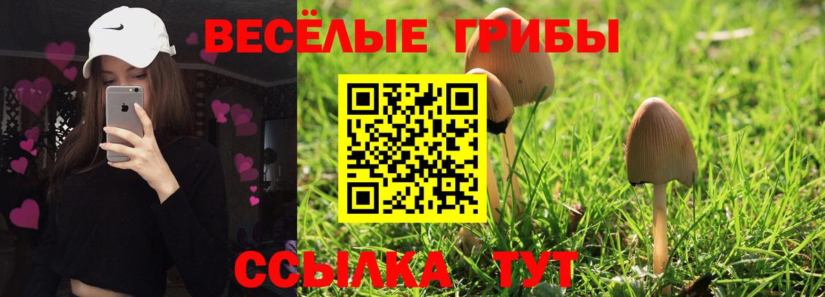 Псилоцибиновые грибы мицелий Комсомольск-на-Амуре